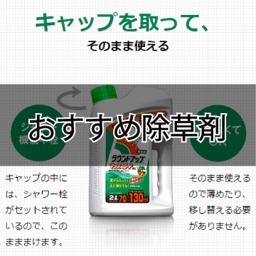 おすすめ除草剤 除草剤って効果あるの 雨降っても大丈夫なの おすすめはラウンドアップ ころころブログ