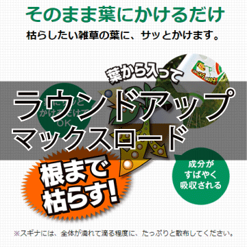 スギナをも枯らす除草剤 ラウンドアップマックスロードalを徹底的に調べてみた ころころブログ